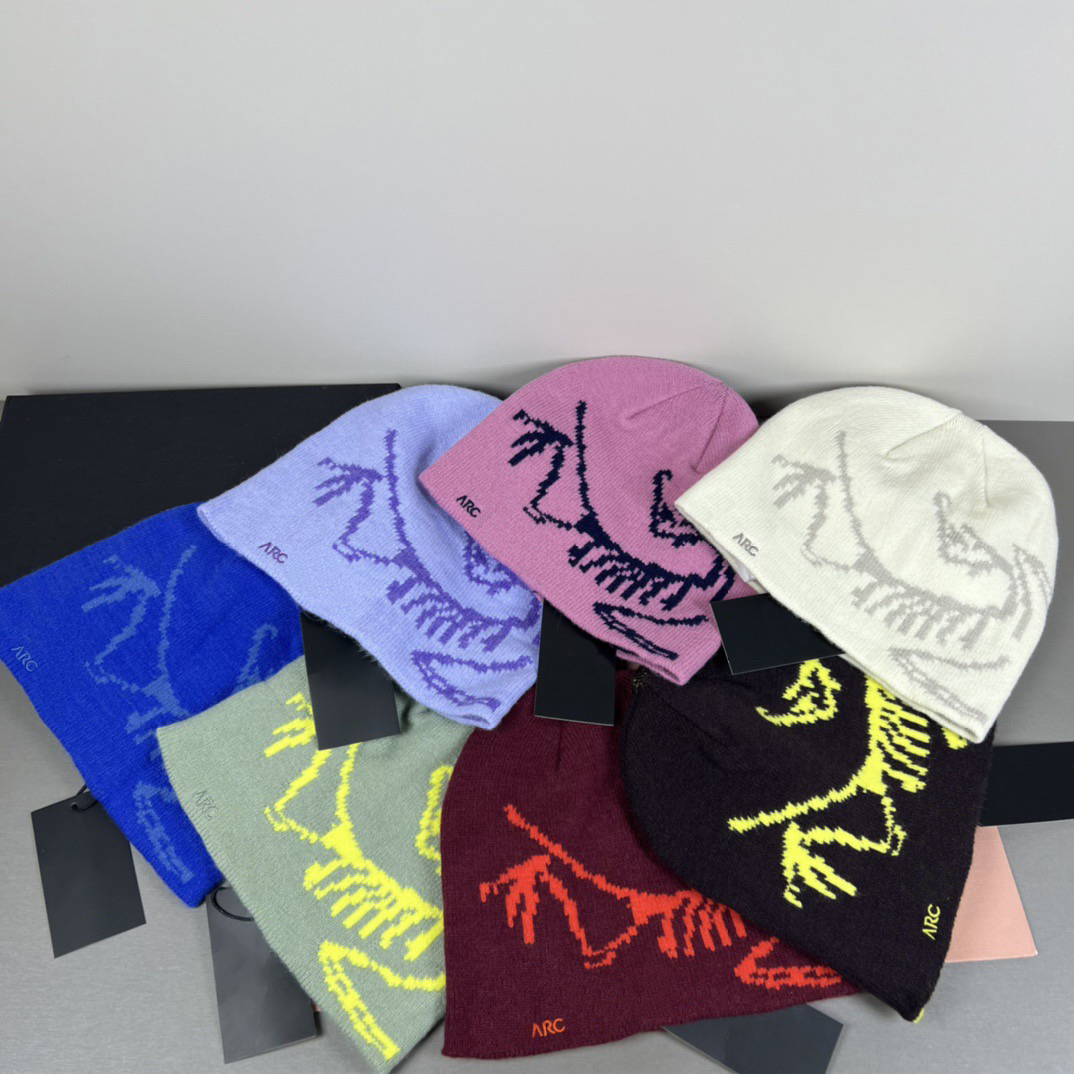 beanie designer wool hat luxury hat embroidered ancient bird pattern street fashion brand arc beanie autumn and winter warm ski hats