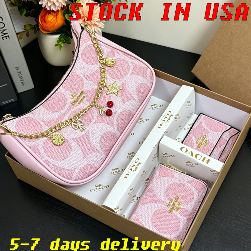 Designer Bag 3pcs Wallet Sets Terri Shoulder Bag With Box Wallet Purse Luxury Crossbody Hobo Bag Soft Chain Bag Mini Wallet Set For Gift