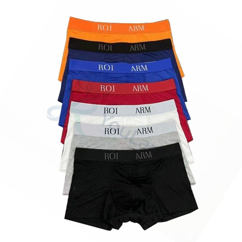 Soft Cotton Comfort 5 Pack Designer Men Sexy Underwear Boxer Briefs Fashion Casual Daily Wear Male Underpants M to 3XL