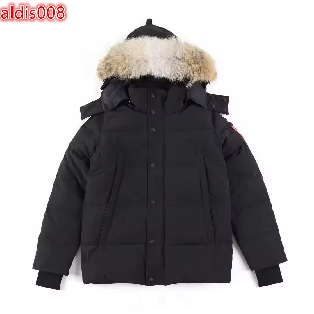 Cozy Quick Dry Customized High Quality Puffer Jackets For Unisex Wholesale Price Factory Supply Custom Colour Design And