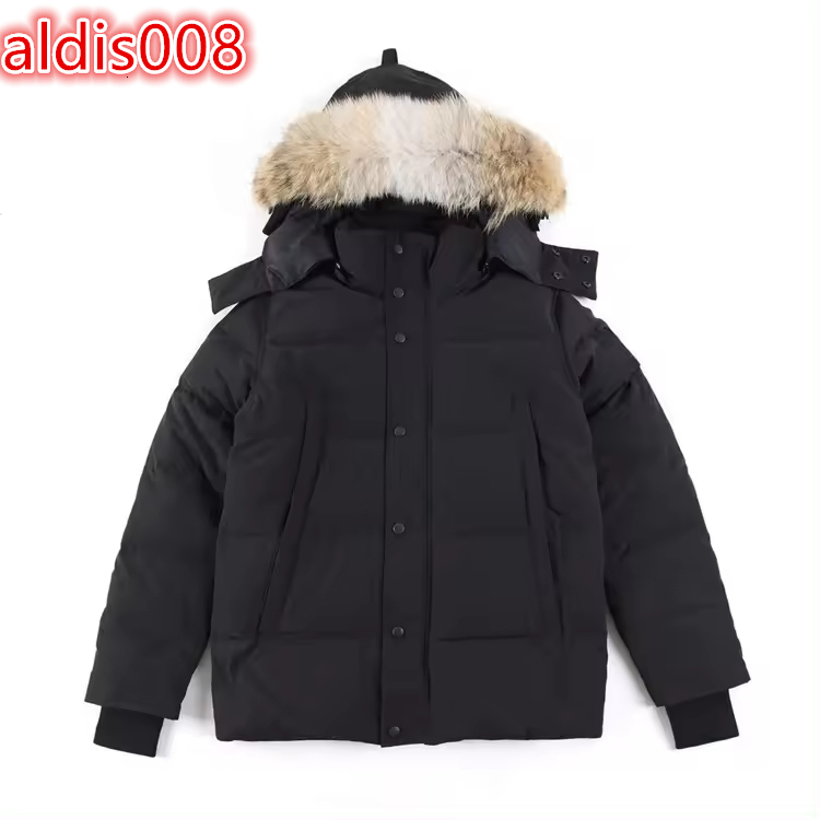 Luxury Best Insulator Men's Waterproof Hooded Down Filled Puffer Jacket Thick Winter Warm Customizable OEM
