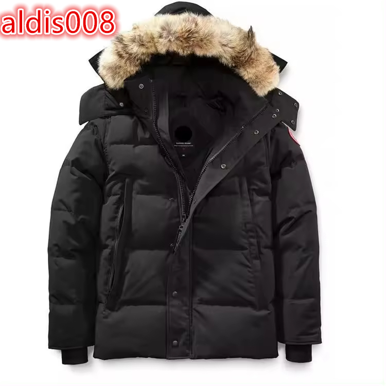 Wholesale High Street Men's Winter Parka Jacket Regular Standard Solid Waterproof Breathable Windproof Customizable Lightweight