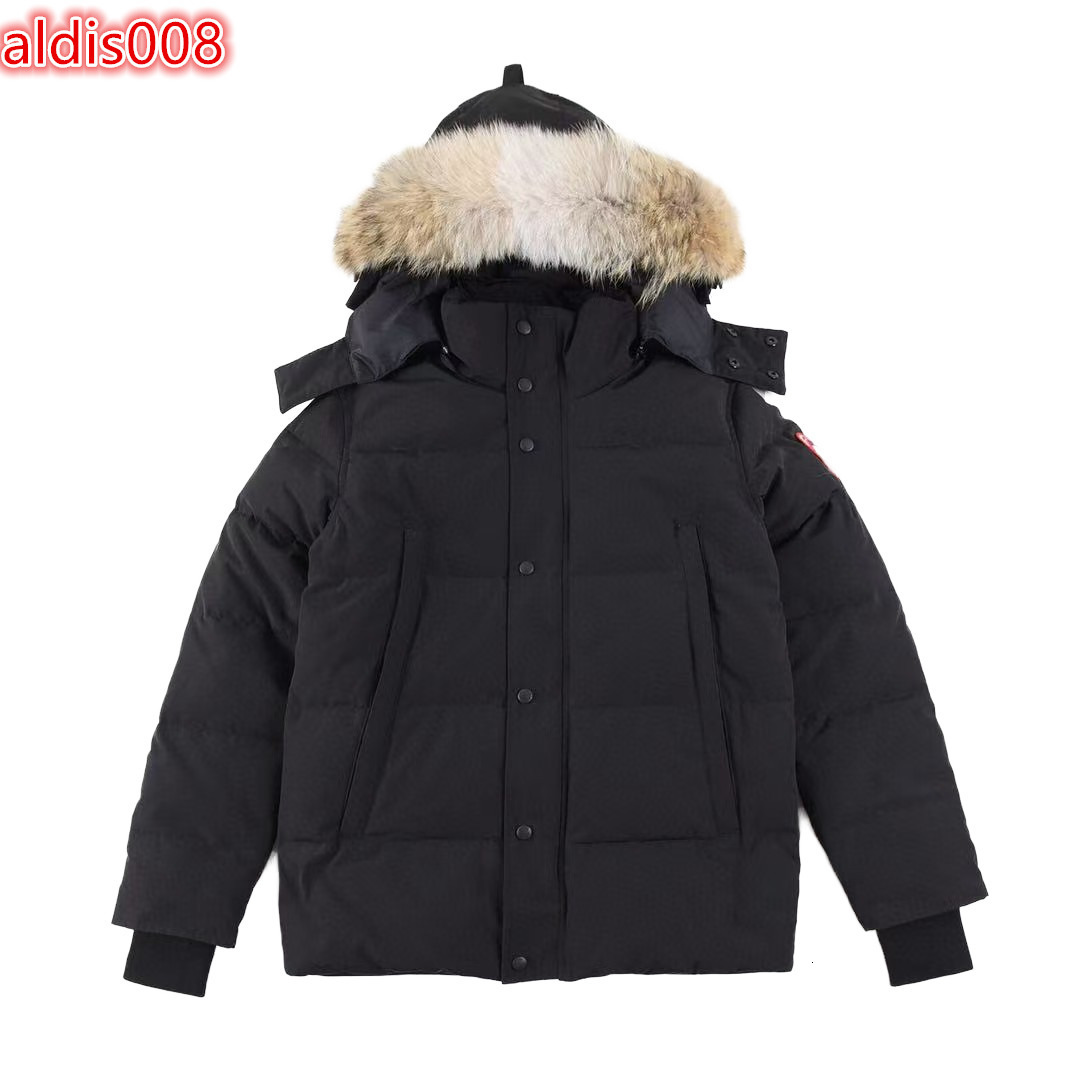 Custom Wholesale Unisex Winter Puffer Jackets Premium Quality Outdoor Streetwear Warm Design Fur Hood Waterproof Eco-friendly