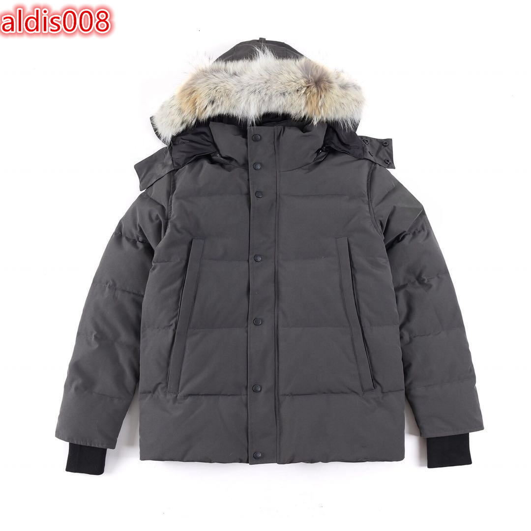 Custom Classic Style Mens Warm Outwear Hooded Coat Waterproof Plus Size Goose Down Parka Jacket for Men Winter Wholesale