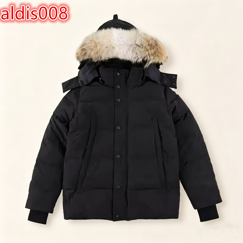 GYQ Wholesale Premium Waterproof Windproof Puffer Jacket Heavyweight Winter Goose Down Parka Coat with Authentic Coyote Fur Trim