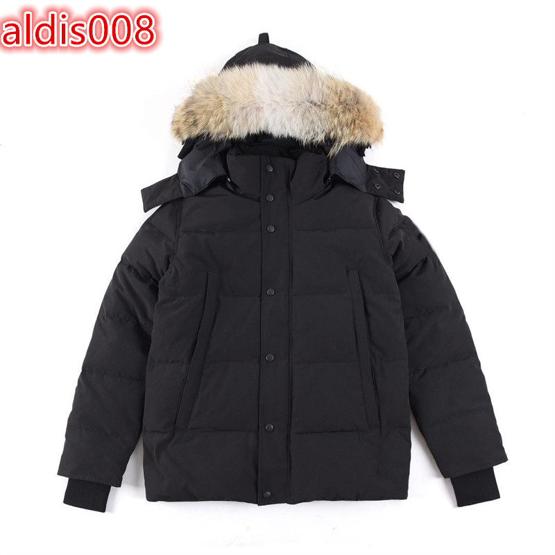Classic Style High Quality Outdoor Warm Puffer Coat With Coyote Fur Windproof Goose Down Parka Jacket Men's Winter Jackets