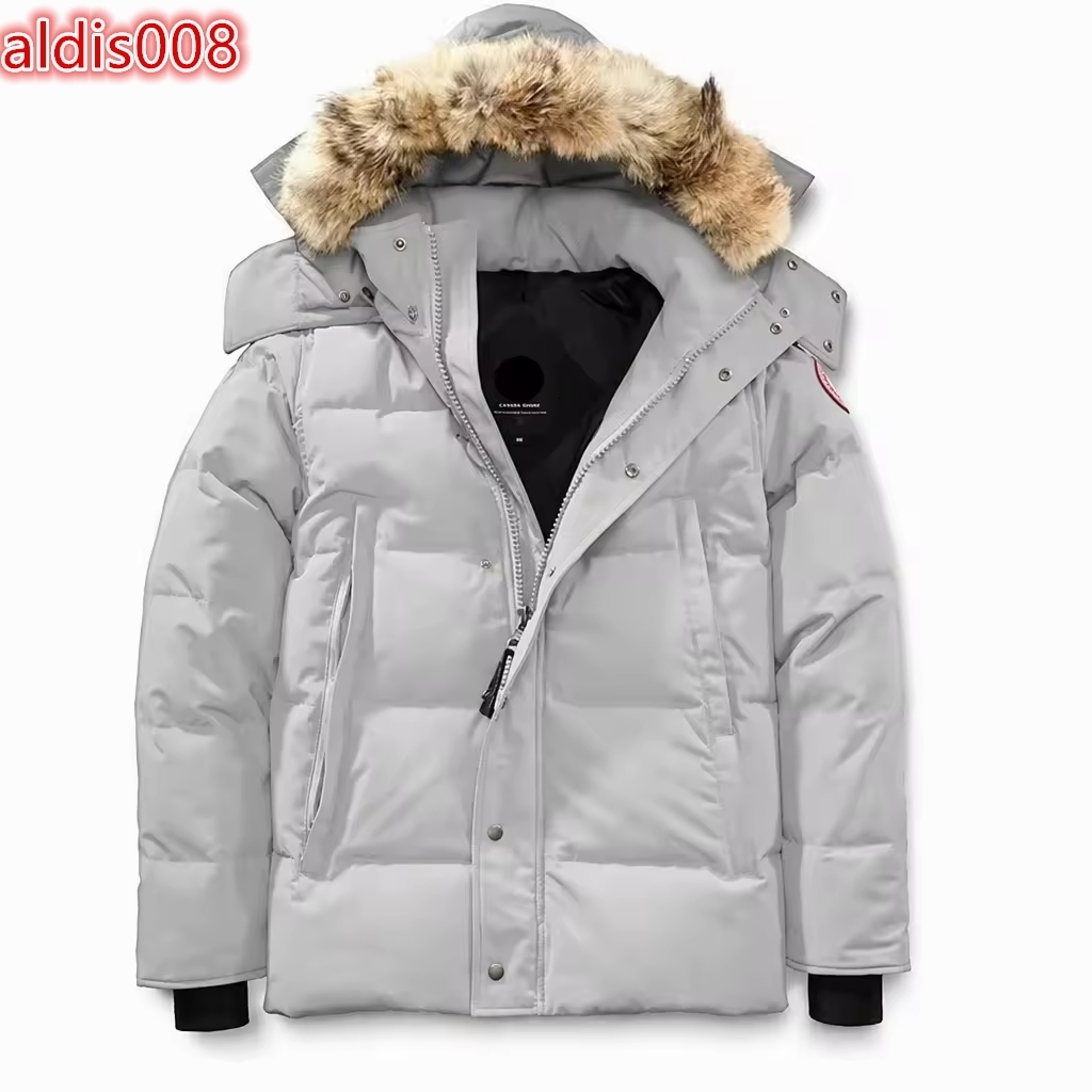Men's Light Gray Hooded Puffer Jacket Windproof Winter Coat Regular Fit Casual Style Zipper Closure Front High Street Style
