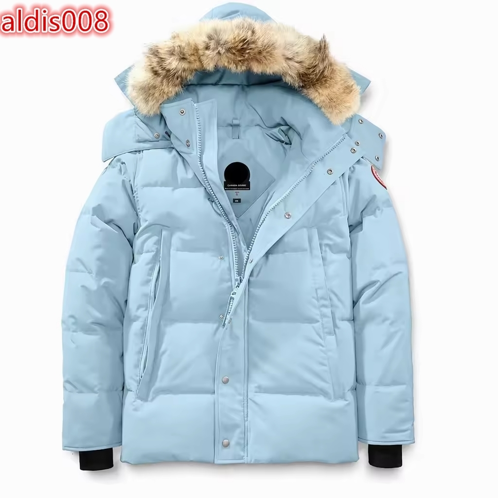 Light Blue Down Puffer Jacket Hooded Windproof Regular Fit Solid Color Winter Coat With Fur Trim