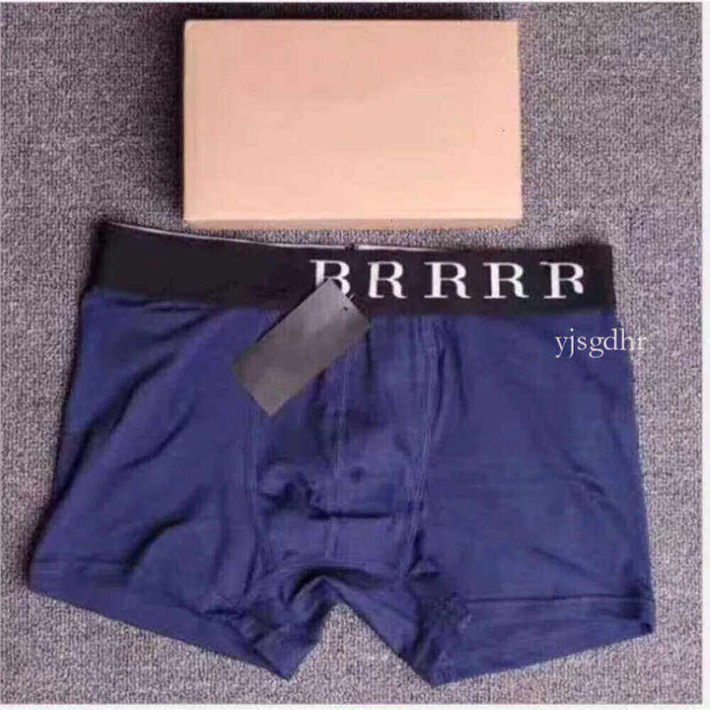 4Pc Men's Designer Sexy Cotton Underwear Male Boxer Brief Brand Underpants Flat Cornered Shorts With Box 1gg gg