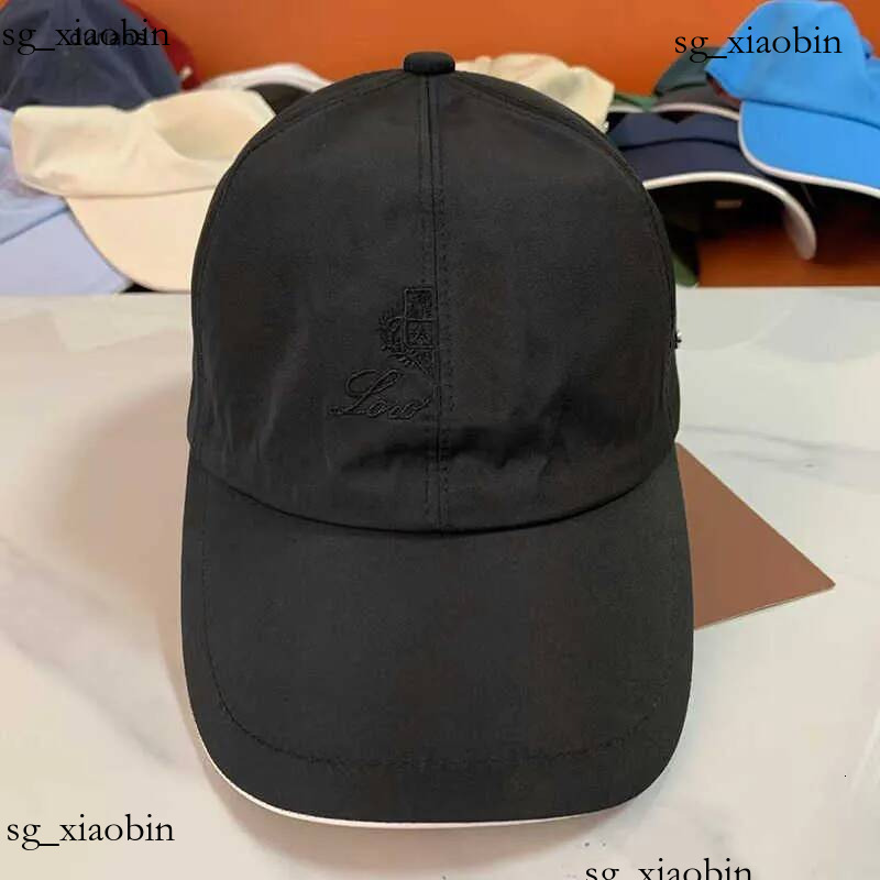 Free Shipping Designer Caps Snapback Hat Women Baseball for Men Cashmere Cotton Fabric Fitted Design with Embroidery Casual Women's Cap Dail