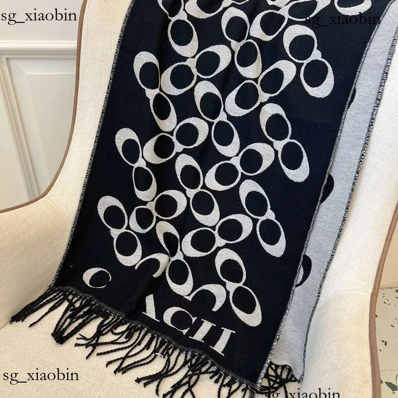 Écharpe de luxe de styliste pour femmes élégantes et plus jolies, très haute valeur, cent chaleur, chaude pour l'hiver