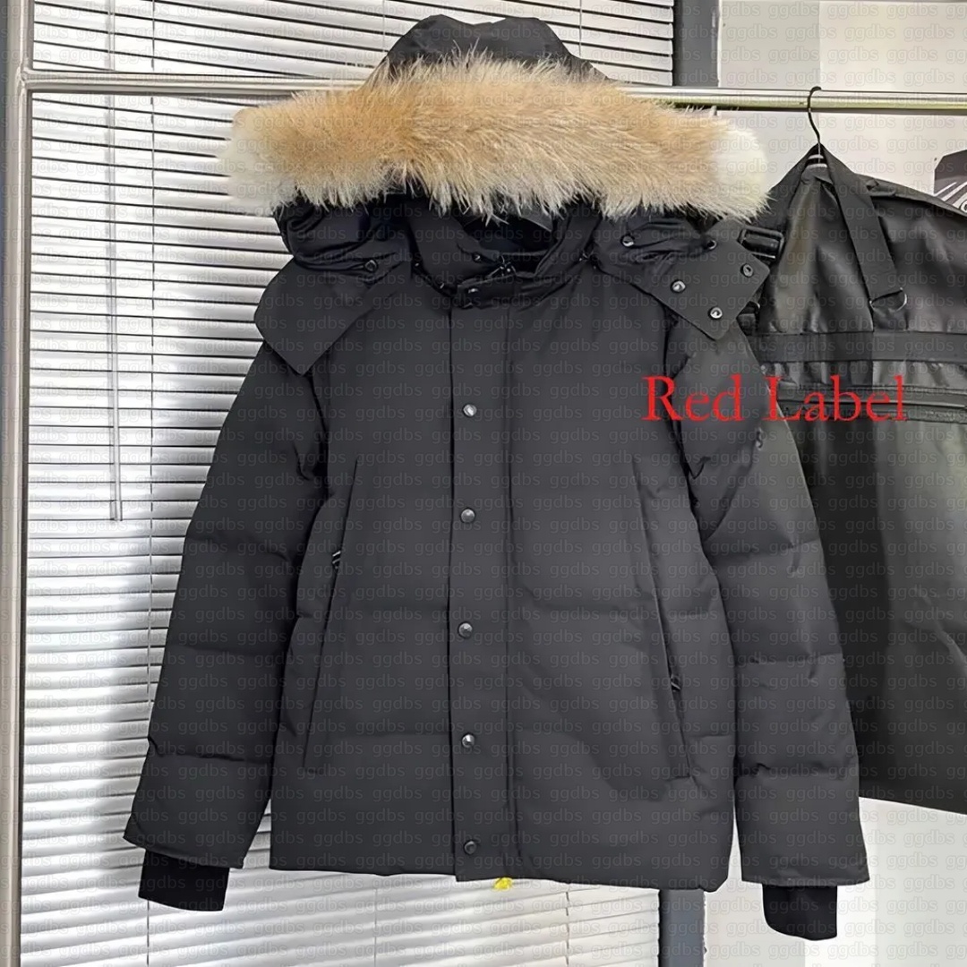 Designer down jackets Puffer jacket mens doudoune badge fashion Canada jacket trend hooded parkas thick warmth feather warm luxury outdoor coat jack
