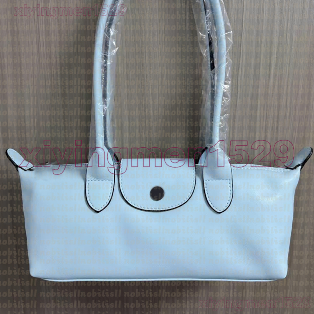 2026 Long New Designer Longitys Lambskin Bag Tote Bag Branded Handbag Laptop Beach Travel Nylon Shoulder Casual Canvas Mommy Shopping Capacity Bag B