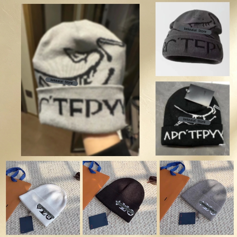 Women Men Classic beanie designer wool hat luxury cashmere hat embroidered ancient bird pattern street fashion brand arc beanie autumn and winter wa