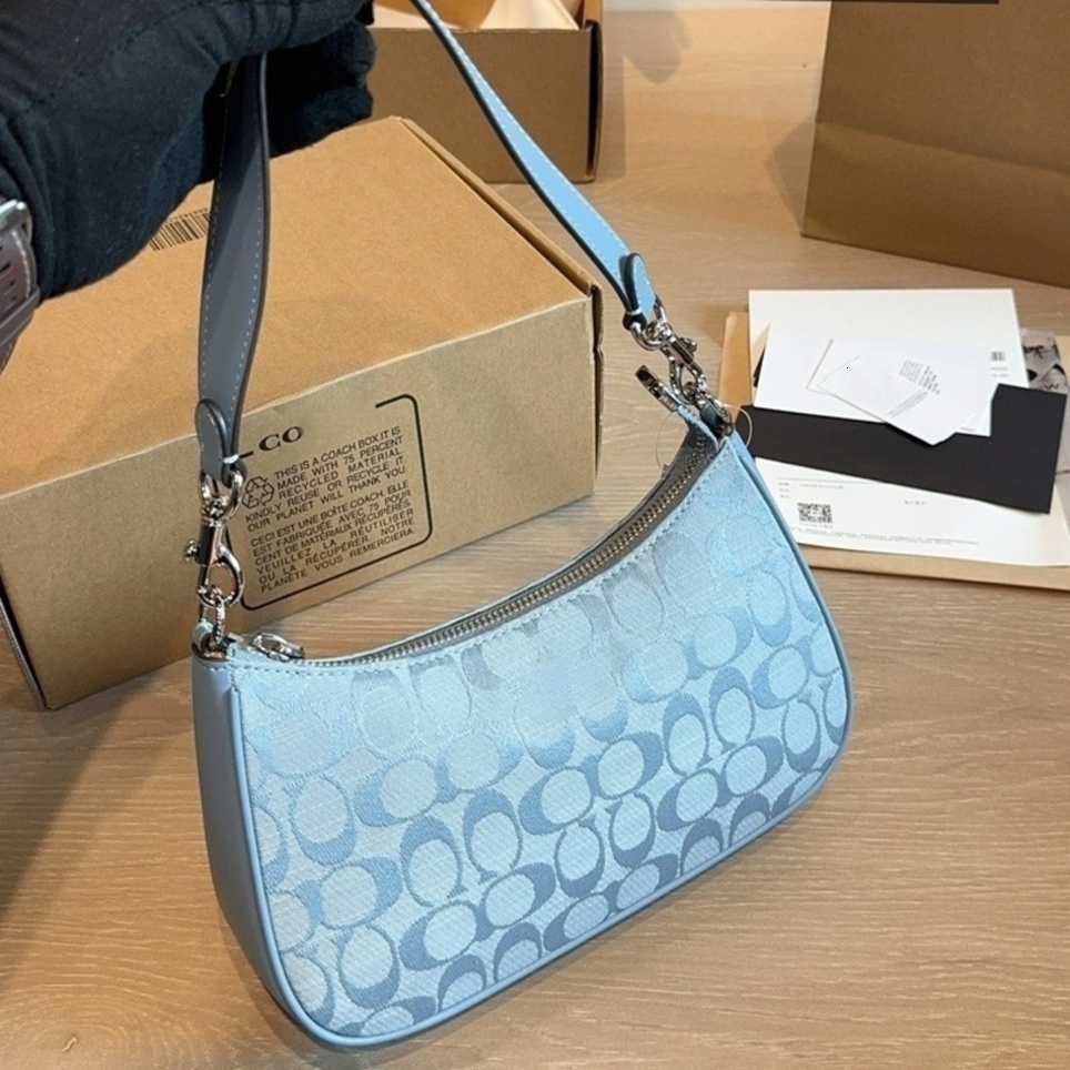 Fashion Women Designer Bag Luxury Teri 25 Hobo Handbag Light Tone Monogram Pattern Premium Coated Canvas Material With Thick Chain Double Shoulder F
