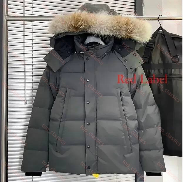 Men Wyndham Down Puffer Designer Down Jacket Stand Collar Zip Up Winter Jacket Soft Fluffy Insulate Outerwear Wind Resistant Parka Travel Camping Sk
