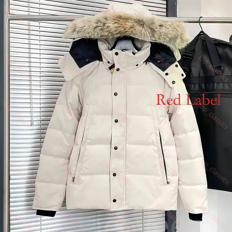 Designer Canadian Jacket Puffer Down Jacket Windproof Water Resistant Winter Coat Portable Packable Thermal Outerwear Warm Insulated Casual Parka 0c