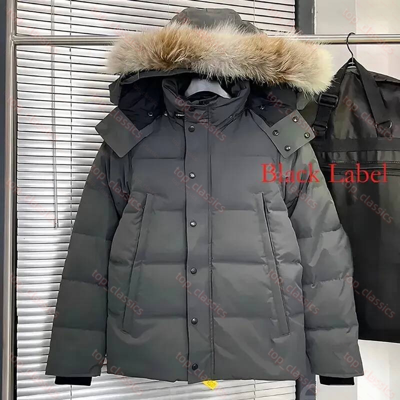 Designer Canadian Jacket Puffer Down Jacket Windproof Water Resistant Winter Coat Portable Packable Thermal Outerwear Warm Insulated Casual Parka 46
