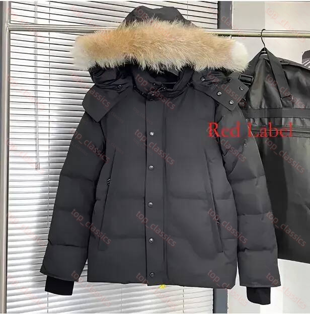 Men Wyndham Down Puffer Designer Down Jacket Stand Collar Zip Up Winter Jacket Soft Fluffy Insulate Outerwear Wind Resistant Parka Travel Camping Sk