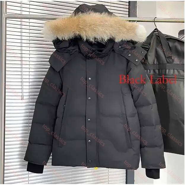 Men Wyndham Down Puffer Designer Down Jacket Stand Collar Zip Up Winter Jacket Soft Fluffy Insulate Outerwear Wind Resistant Parka Travel Camping Sk