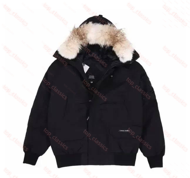 Men Wyndham Down Puffer Designer Down Jacket Stand Collar Zip Up Winter Jacket Soft Fluffy Insulate Outerwear Wind Resistant Parka Travel Camping Sk