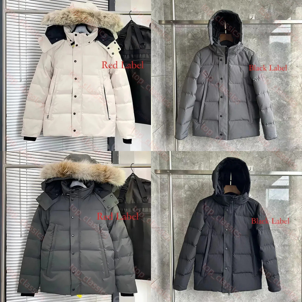 Designer Canadian Jacket Puffer Down Jacket Windproof Water Resistant Winter Coat Portable Packable Thermal Outerwear Warm Insulated Casual Parka 4a