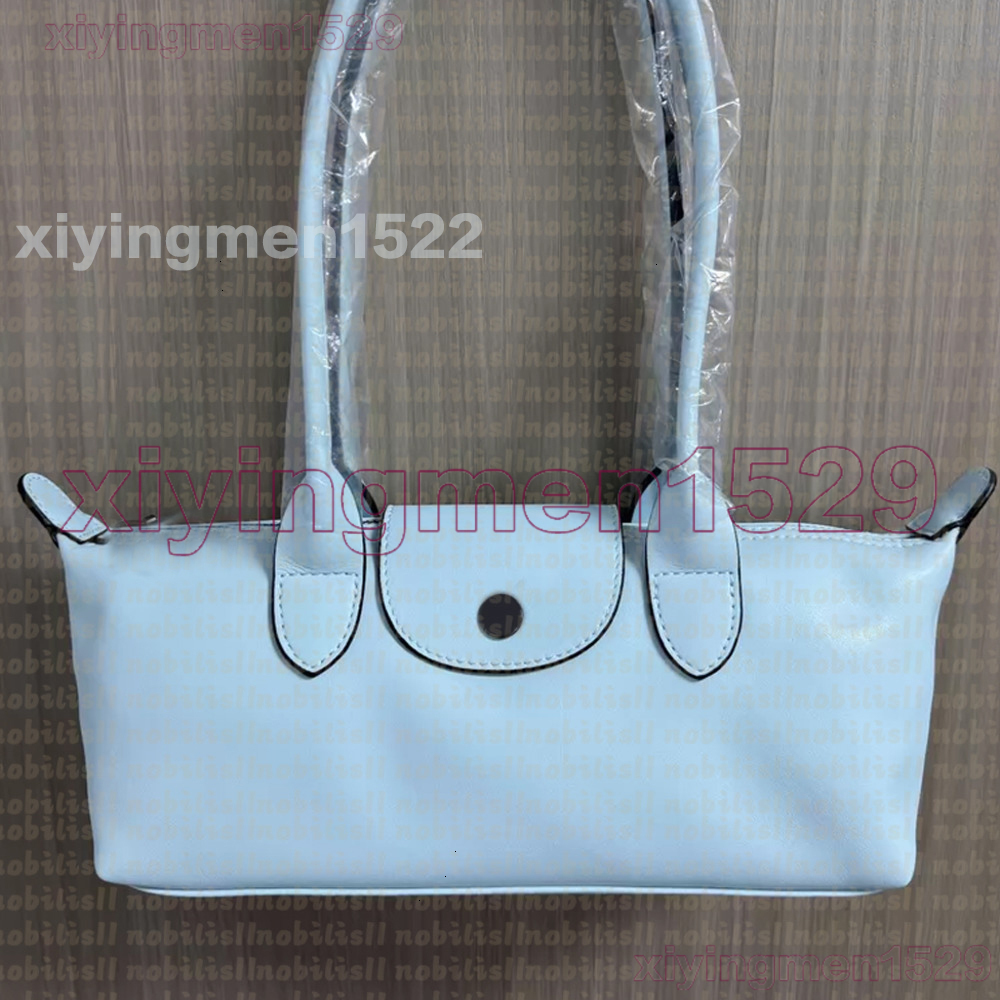 2026 Long New Designer Longitys Lambskin Bag Tote Bag Branded Handbag Laptop Beach Travel Nylon Shoulder Casual Canvas Mommy Shopping Capacity Bag B
