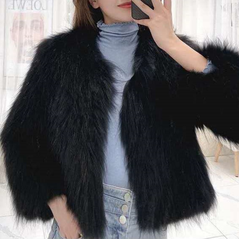 Veste d'automne courte à manches longues pour femmes, noire, blanche, col rond, coupe décontractée, vêtements d'extérieur élégants pour les rasse