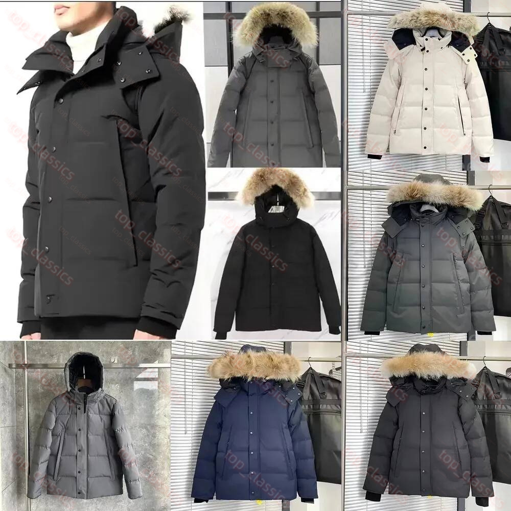 Men Wyndham Down Puffer Designer Down Jacket Stand Collar Zip Up Winter Jacket Soft Fluffy Insulate Outerwear Wind Resistant Parka Travel Camping Sk