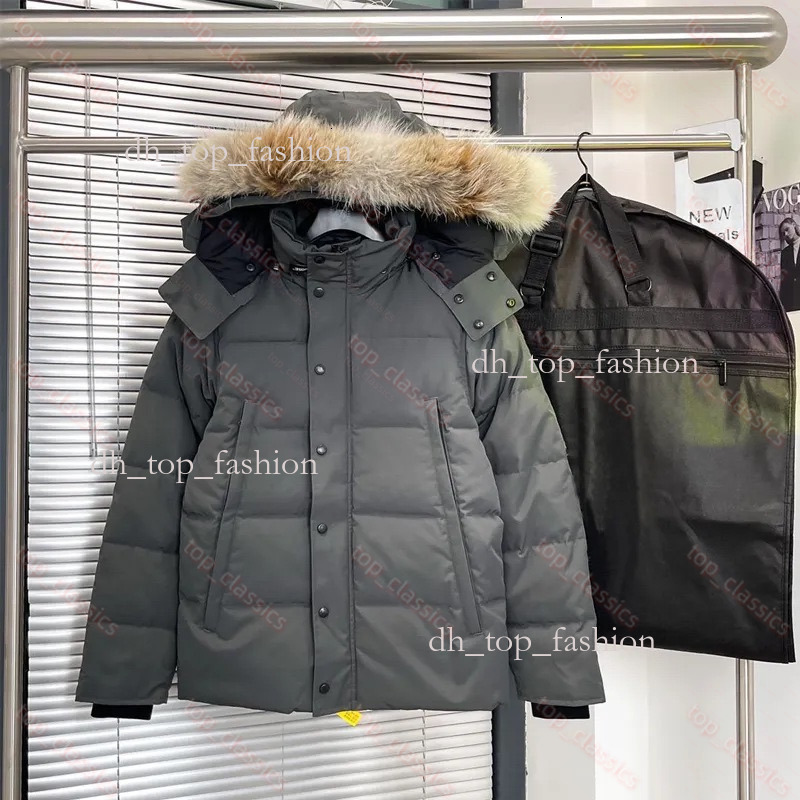Men Goosejackets Jacket Designer Real Coyote Fur Outdoor Wyndham Windbreaker Outerwear Hooded Goosejackets Down Jacket Coat Parka Black Down Jacket