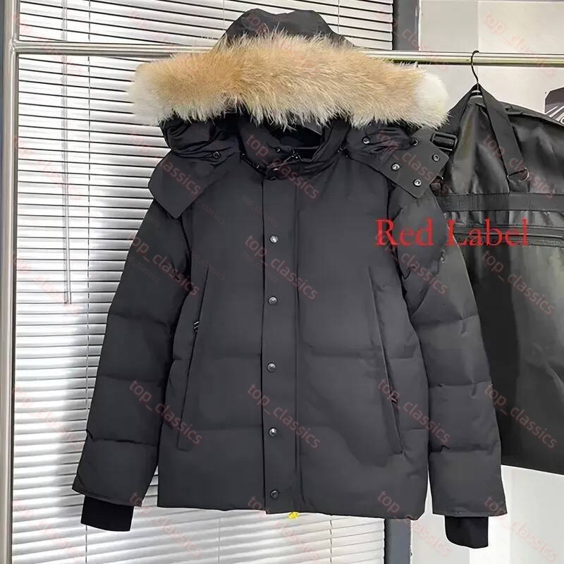 Designer Canadian Jacket Puffer Down Jacket Windproof Water Resistant Winter Coat Portable Packable Thermal Outerwear Warm Insulated Casual Parka ca