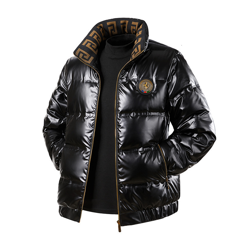 Winter European New Jacket For Men, Fashionable Casual Stand Collar Down Jacket, Duck Down, Couple's Style