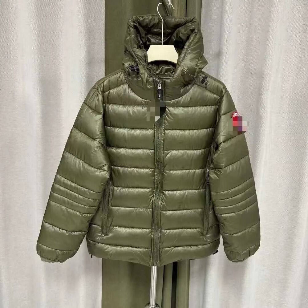 Gosecoat Jacket Big Goose Men's Warm Solid Color Hooded Logo Series Jacket In Silver Black Green Winter Coat For Men 564