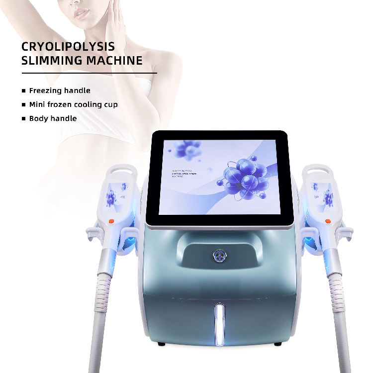 2 in 1 360 Cryolipolysis Fat Reduction Body Sculpting Skin Rejuvenation Firming Device Home Use Safe Women Full Body at SPA Clinic