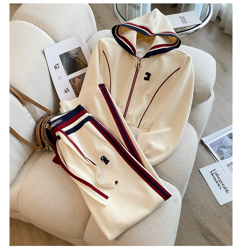 Designer Womens Tracksuit Autumn Winter Women Casual Sportswear Set 2 Piece Outfit Trendy Embroidered Hoodie & High Waist Straight Pants