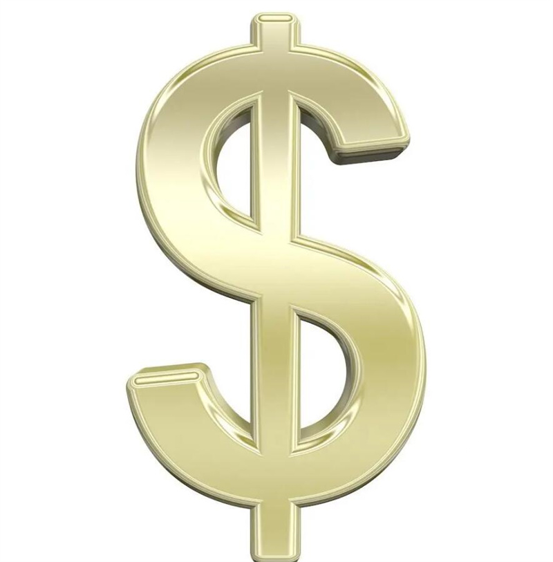 The Others Apparel The Fast Link to Pay For Extra Price EMS DHL Extra Shippings 2026