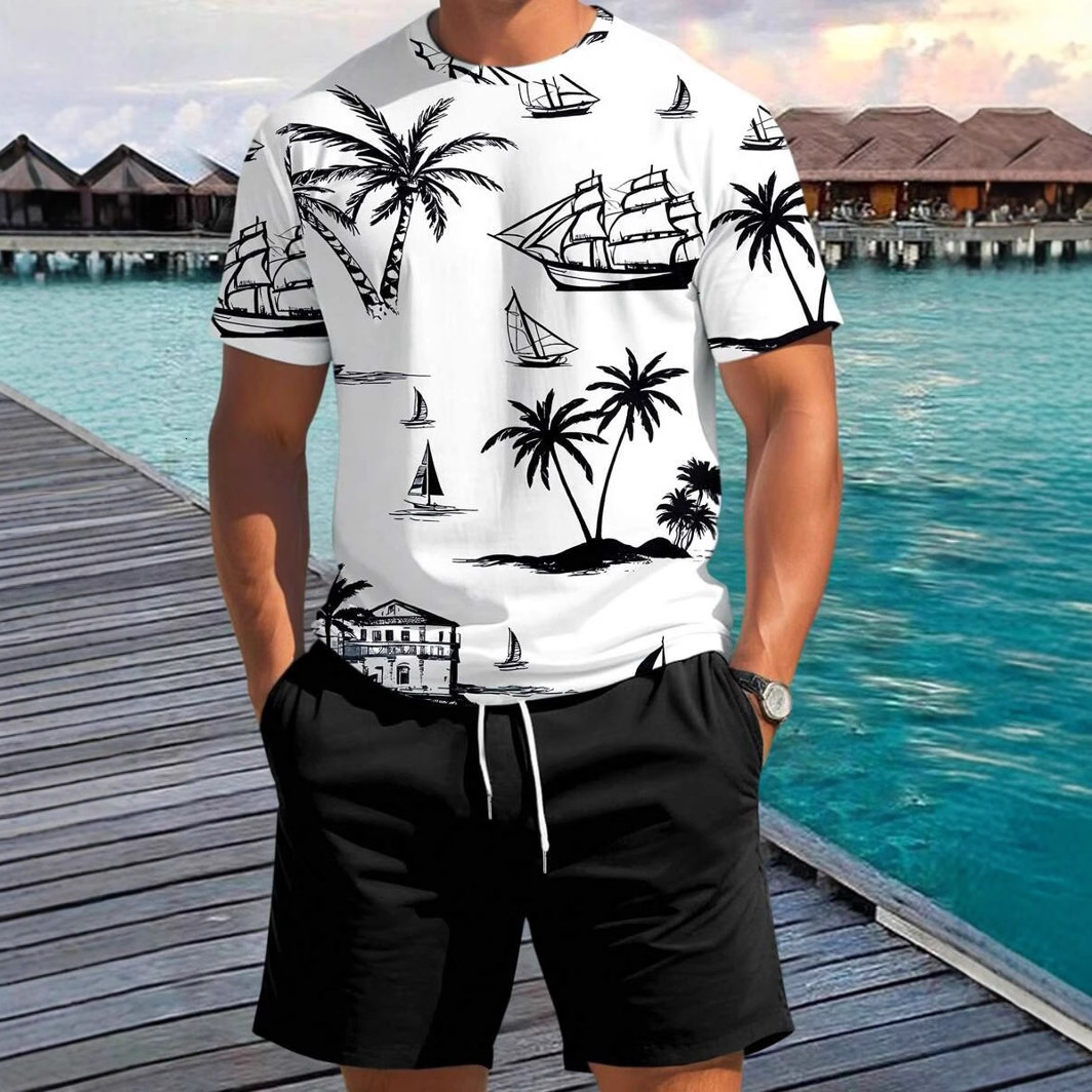 2025 Cross-Border Hot-Selling Fashion Set Short Sleeve T-Shirt Pants Loose Men's 3D Digital Print Customizable c2