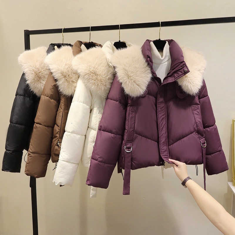 Padded Winter New Coat Women Big Fur Collar Stand Collar Down Jacket Female Thick Warm Zipper Parka Casual Streetwear Outerwear H260917