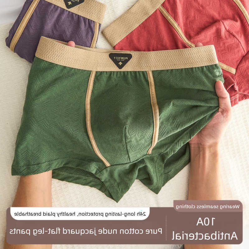 Men's 100% Cotton Underpants 3PC Underwear Autumn Winter New 10A Antibacterial BoxerShorts Loose Comfortable Men's Quadrangle Underpants D