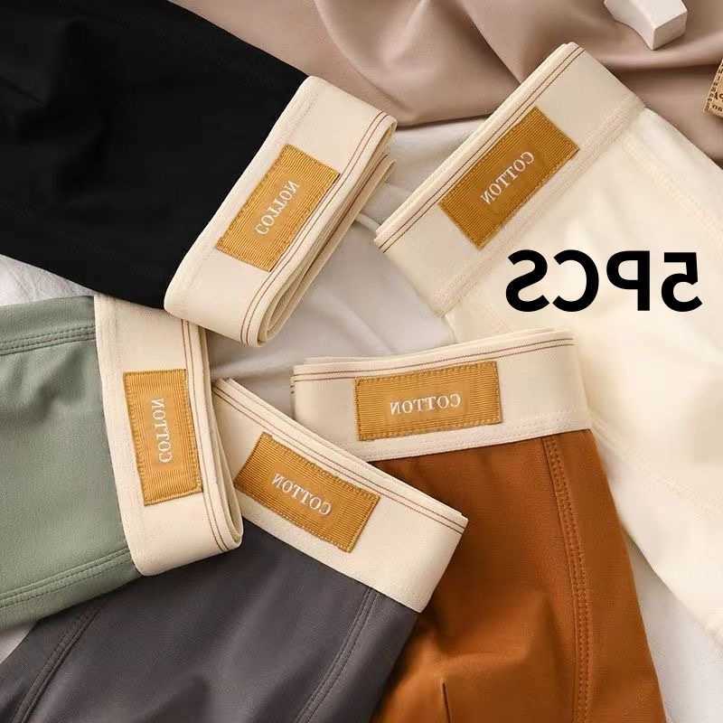 Man Underpants 5Pcs Men's Underwear Panties Comfortable Breathable Antibacterial Pure Cotton Underwear Sexy Underwear Fashion Boxer Shorts D260