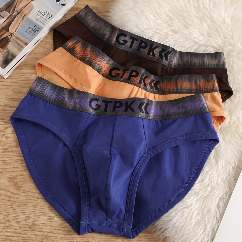13PCS 95% Cotton Soft Comfortable Lingeries for Man High Stretch Mens Underwear Breathable Antibacterial 3D Mesh Pouch Briefs 260915