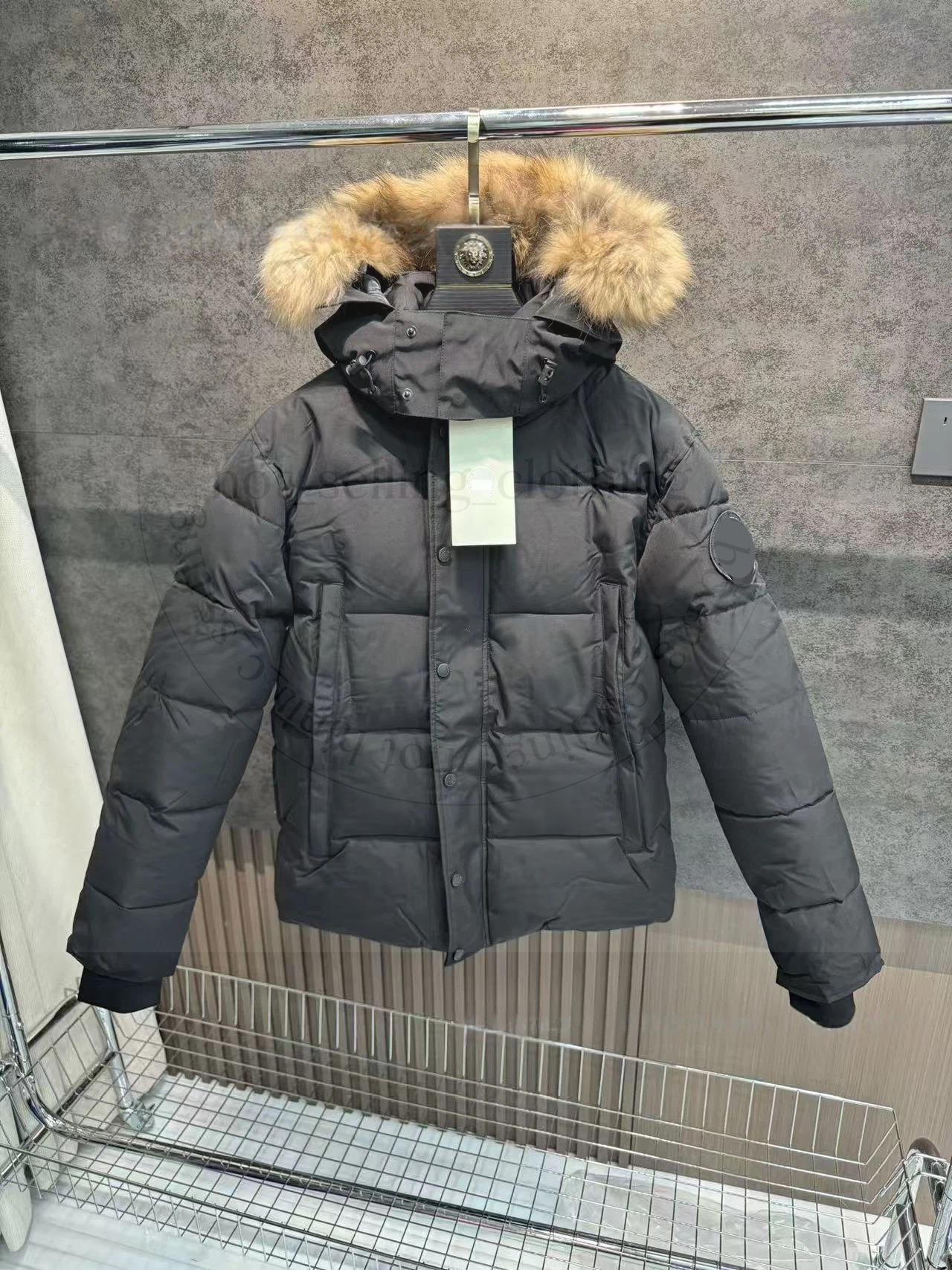 Men's Down Coat Designer Luxury Embroidered Zipped Up Hooded High Quality Cotton Fashion Jacket Men Womens Winter Goose Down Jacket Coats dc0