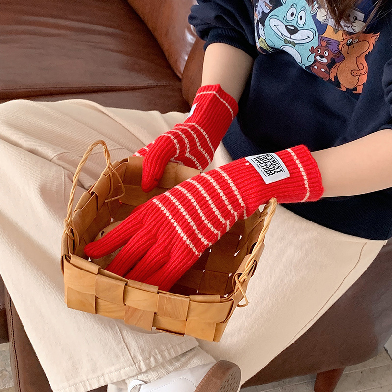Korean Style Striped Knitted for Women Personalized Patch Warm Split Finger Casual Touchscreen Arctic Velvet Gloves