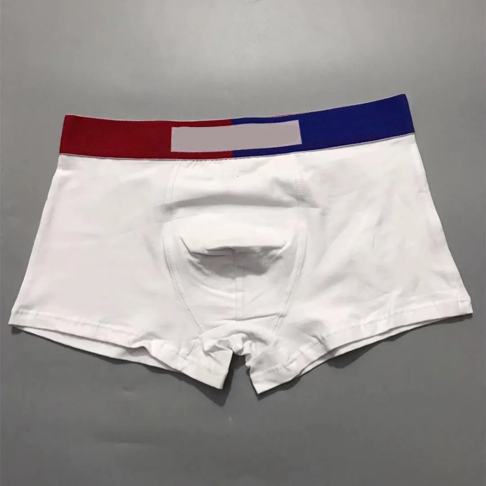 Designer Style Men Boxer Briefs High Quality Cotton Soft Comfort Stretch Asian Size Gift Box Packing Underpants