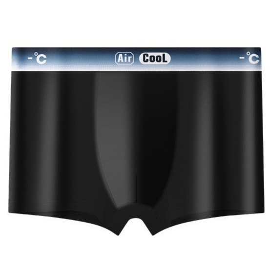 Summer Thin Breathable Men Boxers Oversized Casual Underpants