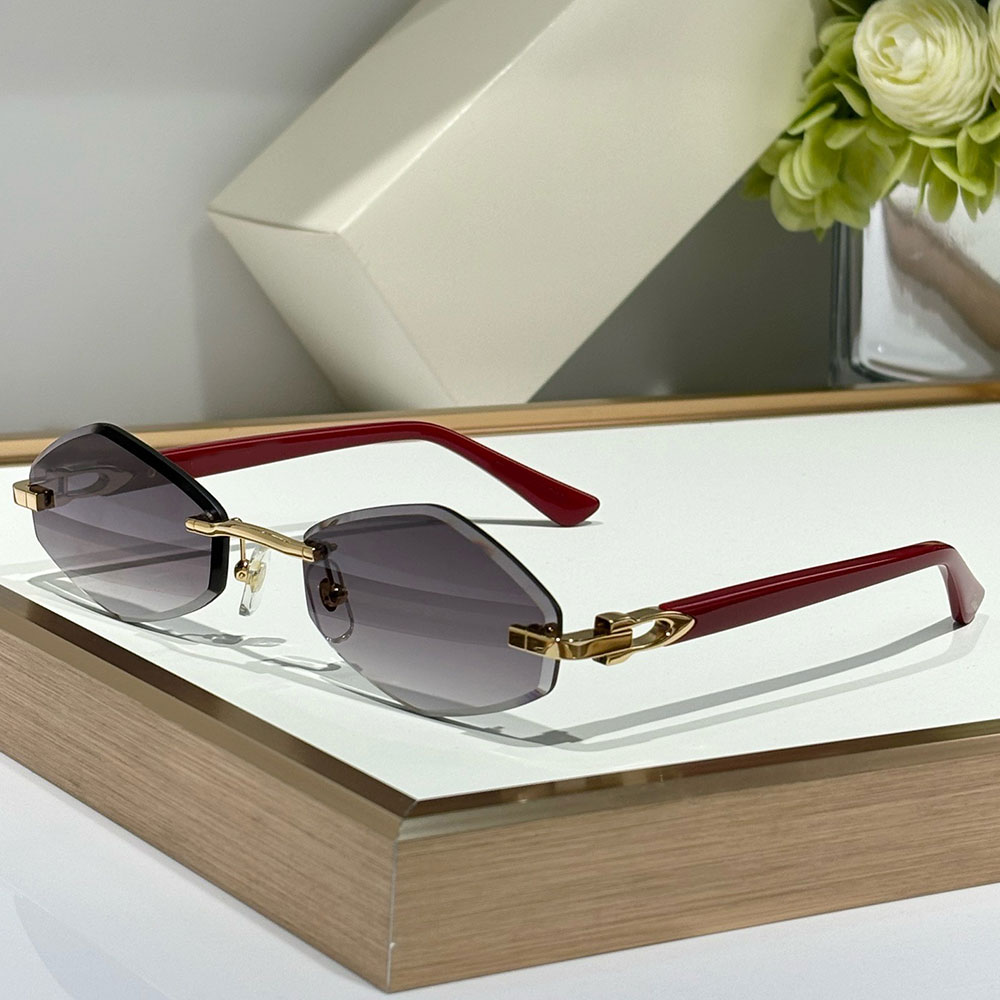 Womens Classic Polyangular Stylish Sunspecs luxury designer sunglasses CT0901S brand business sunglasses y2k fashion street photography style with b
