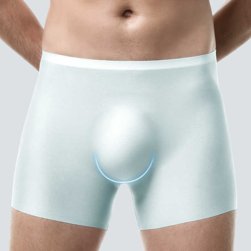 Underwear Underpants Men's 5-Pack of Men's 3D Molded Ice Silk Boxer Briefs Seamless Thin Boxer Briefs Extended Sports Summer Shorts D26091