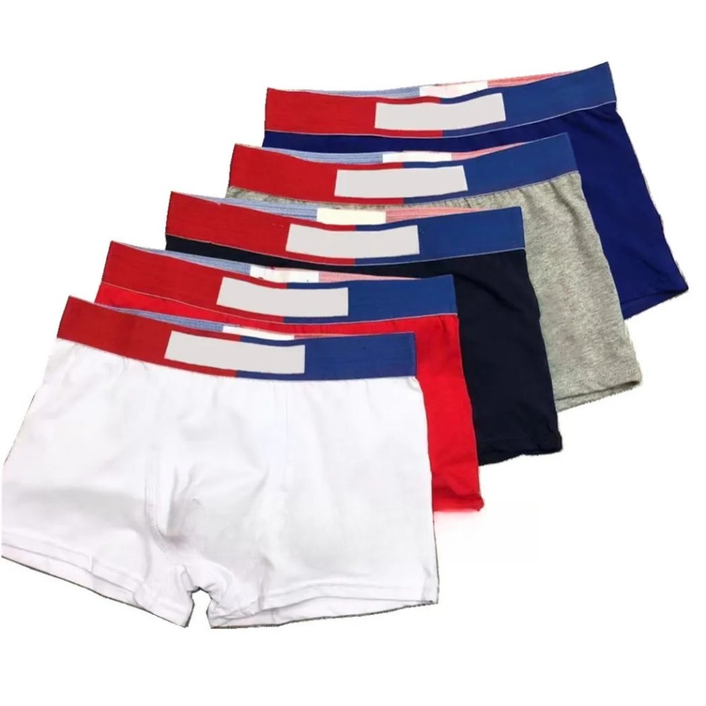 Mens Underwear Cotton Boxer Briefs Designer Style High Quality Cotton Material Boxed Gift Packing Asian Size Soft Stretch Comfortable Men Boxer Brie