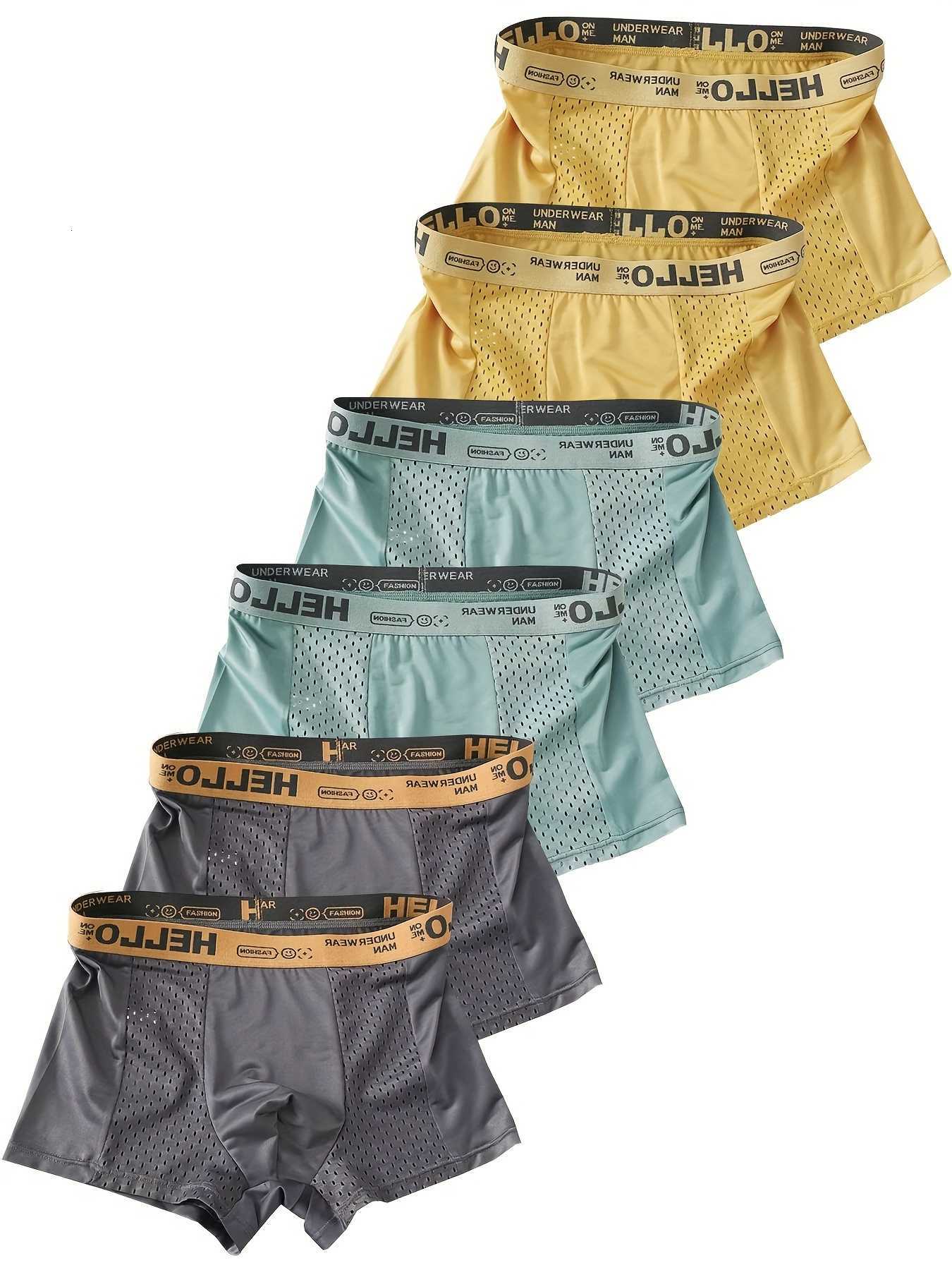 Ice Men's Underpants Silk 6-Pack Semi-Mesh Boxers - "HELLO" Waistband Breathable Variety D260918