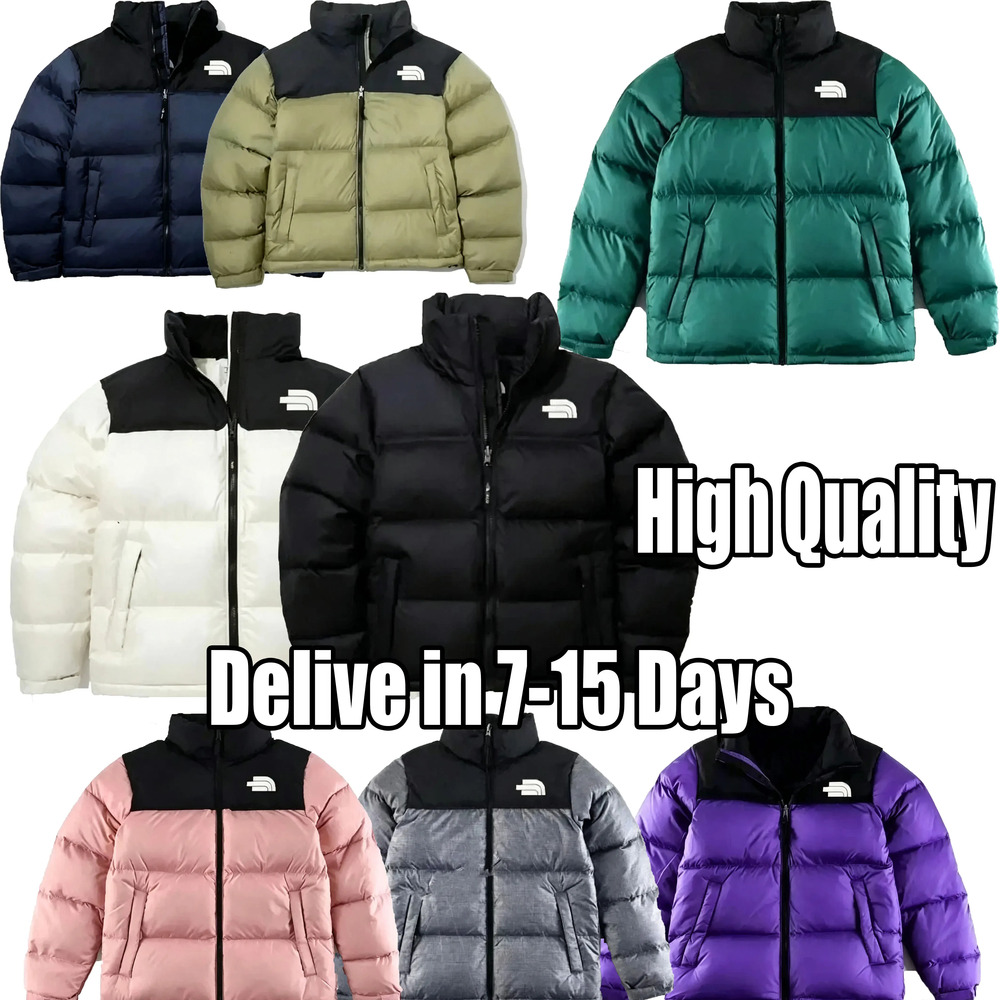 Men Puffer Jacket Designer Down With Hood Jacket Nuptse 700 Fill Parka Winter Retro Jacket Women Northism Faceism Overcoat Jacket Couple Thick Warm